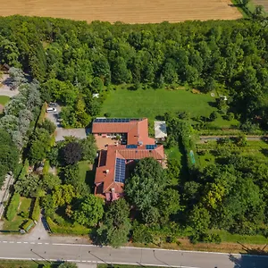 Settecentoalberi , Noventa di Piave Italia